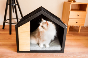 スクリーンショット 2021-12-10 18.05.55 モダンペットハウスブラックフレーム