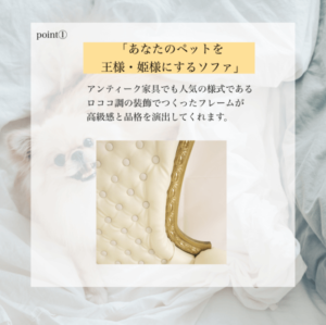QUEEN SOFA～愛犬が貴族のようになる撮影用ソファ～