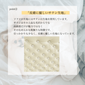 QUEEN SOFA～愛犬が貴族のようになる撮影用ソファ～