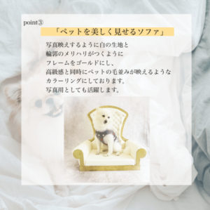 QUEEN SOFA～愛犬が貴族のようになる撮影用ソファ～